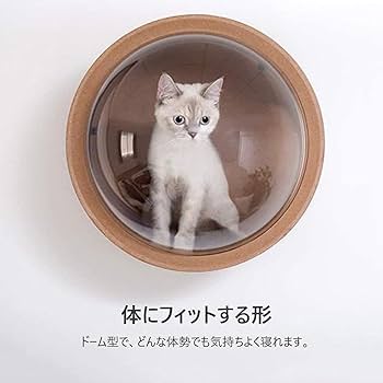 キャットウォーク 壁付け 木製 宇宙船 猫ハウス 透明ペット用ベッド 空気穴で ドーム状 猫用ベッド キャットタワー キャットステップ 壁付け対応  床置き対応 お手入れ簡単 季節を問わず快適に眠れる 全猫種 小型犬 全年齢対応 四季通用 (原木色) (Size : 01)